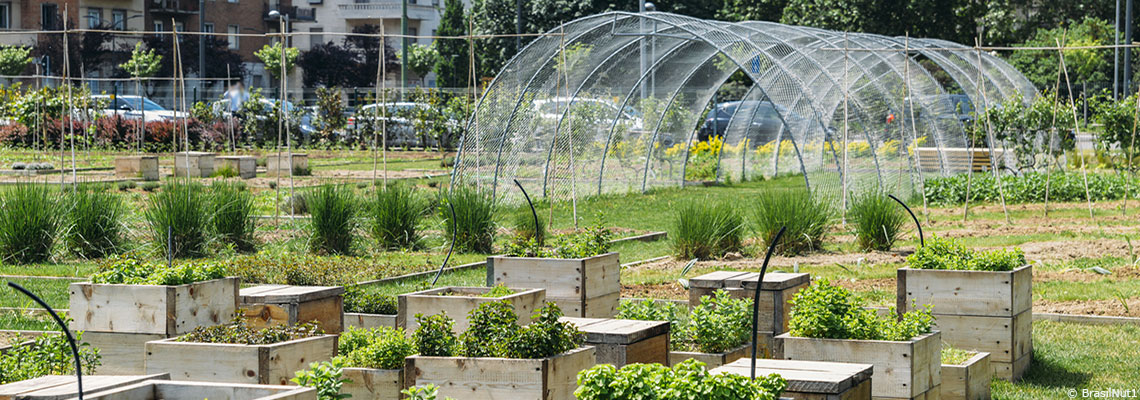 Pour une agriculture urbaine