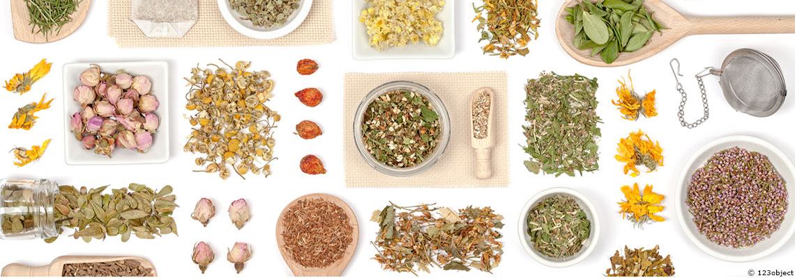 Covid-19 - &quot;Avec les plantes oui, mais pas n’importe comment, ni avec n’importe quoi&quot;