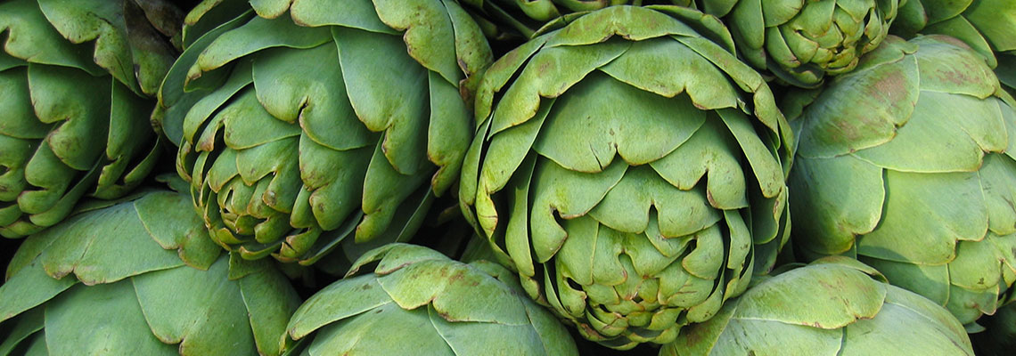L'artichaut, légume de printemps