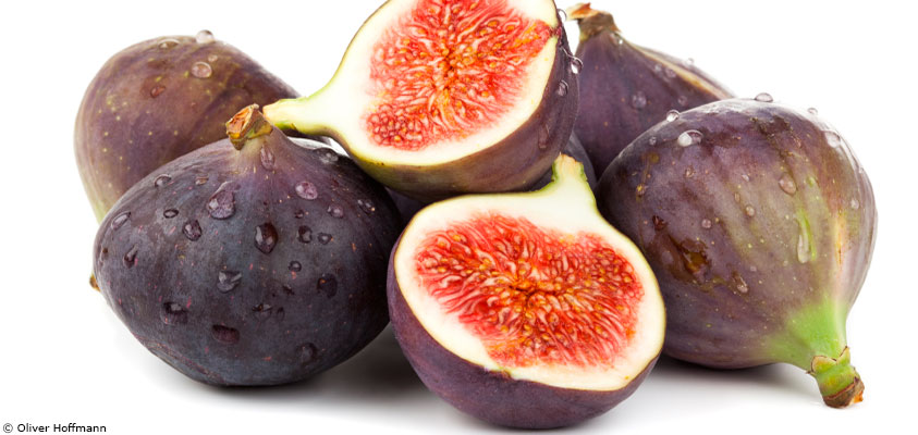 La figue : le fruit de l'été