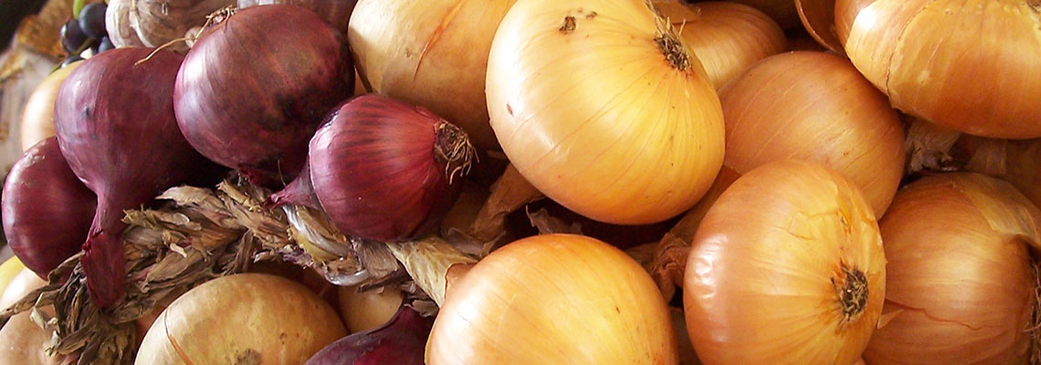 L'oignon : légume, aromate et condiment