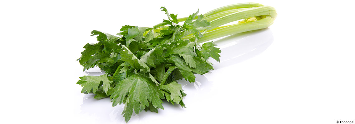 Le céleri : plante de la lune