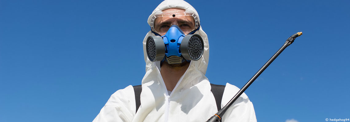 Pesticide pyriproxyfène–virus Zika : découverte d’une alliance tragique pour le développement cérébral