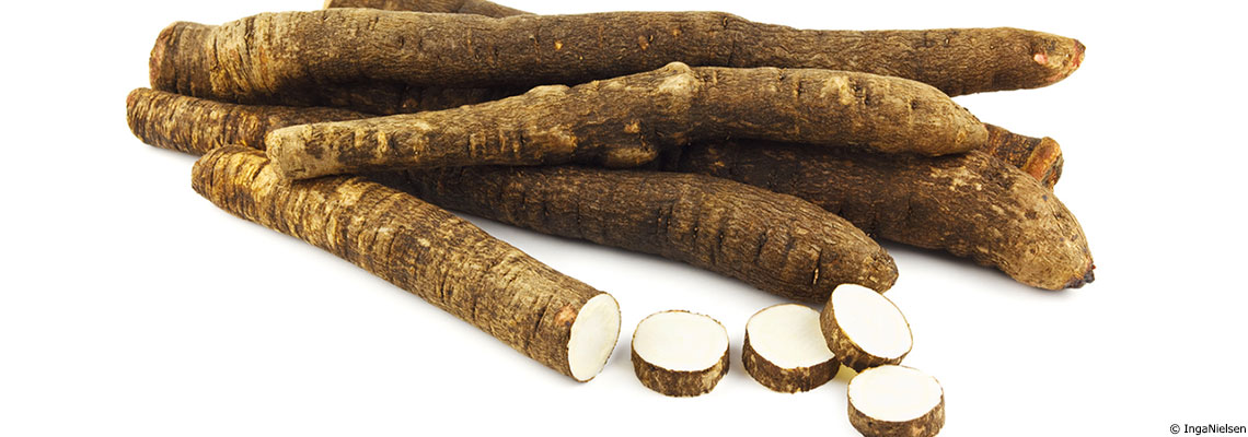 Salsifis et scorsonère, des légumes oubliés