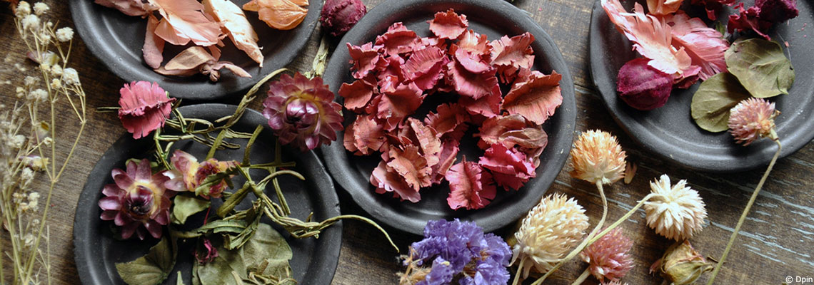 Des idées pour parfumer et assainir son intérieur