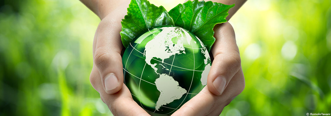 &quot;Soit on prend le tournant de l’agriculture paysanne, soit on prend le mur&quot; 