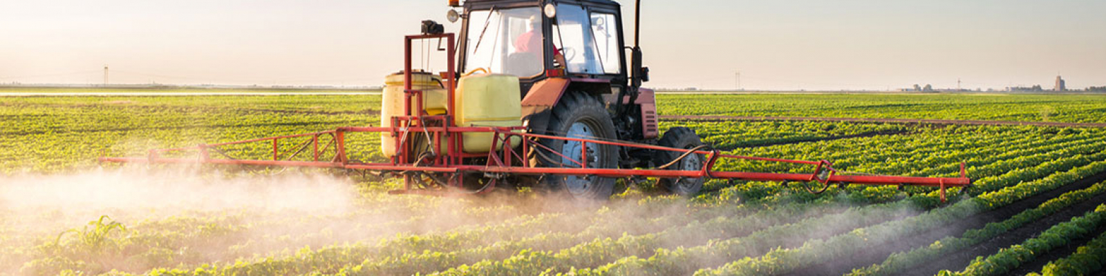 Comment l’agriculture industrielle bouleverse le cycle de l’azote et compromet l’habitabilité de la terre