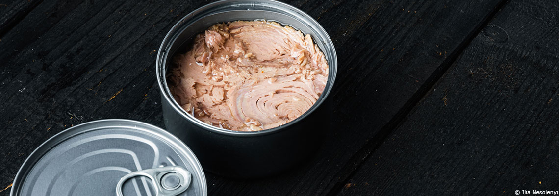 Comment le thon peut-il contenir du mercure et faut-il avoir peur d’en manger ?